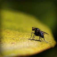 /album/canvas-printing-china/photolia-a07-jpg/
